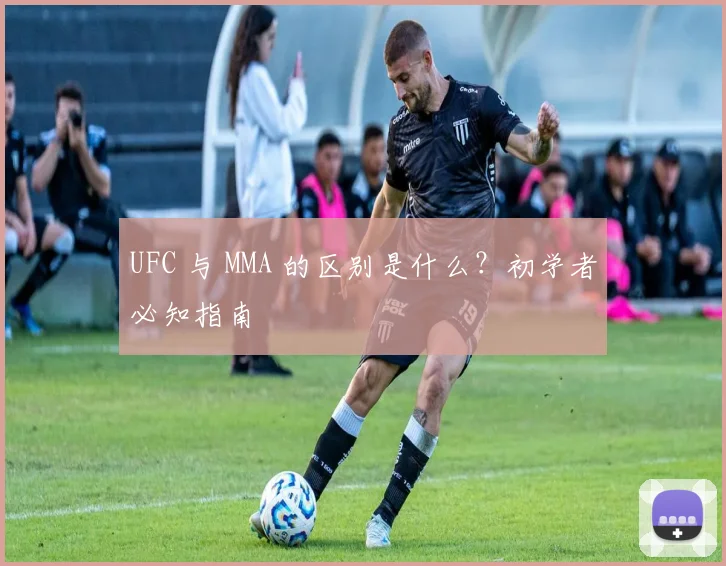 UFC 与 MMA 的区别是什么？初学者必知指南
