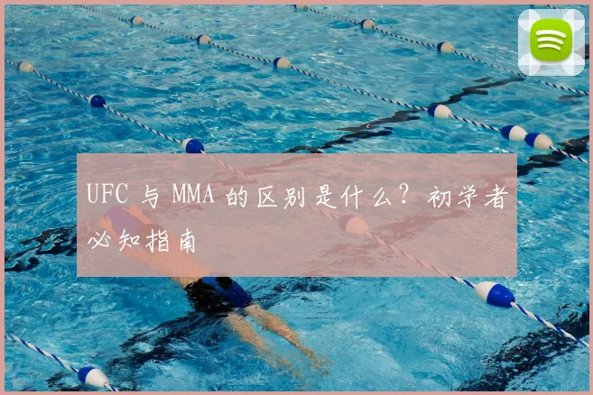 UFC 与 MMA 的区别是什么？初学者必知指南
